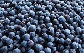 "Blue Brilliance: Unveiling the Cognitive Magic of Blueberries for Brain Health"